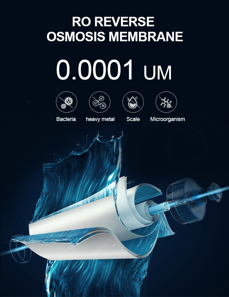 439753491